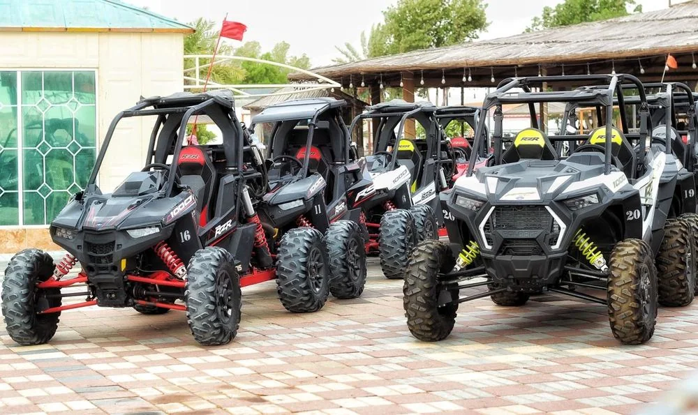 Polaris RZR 1000 · 2 Seater